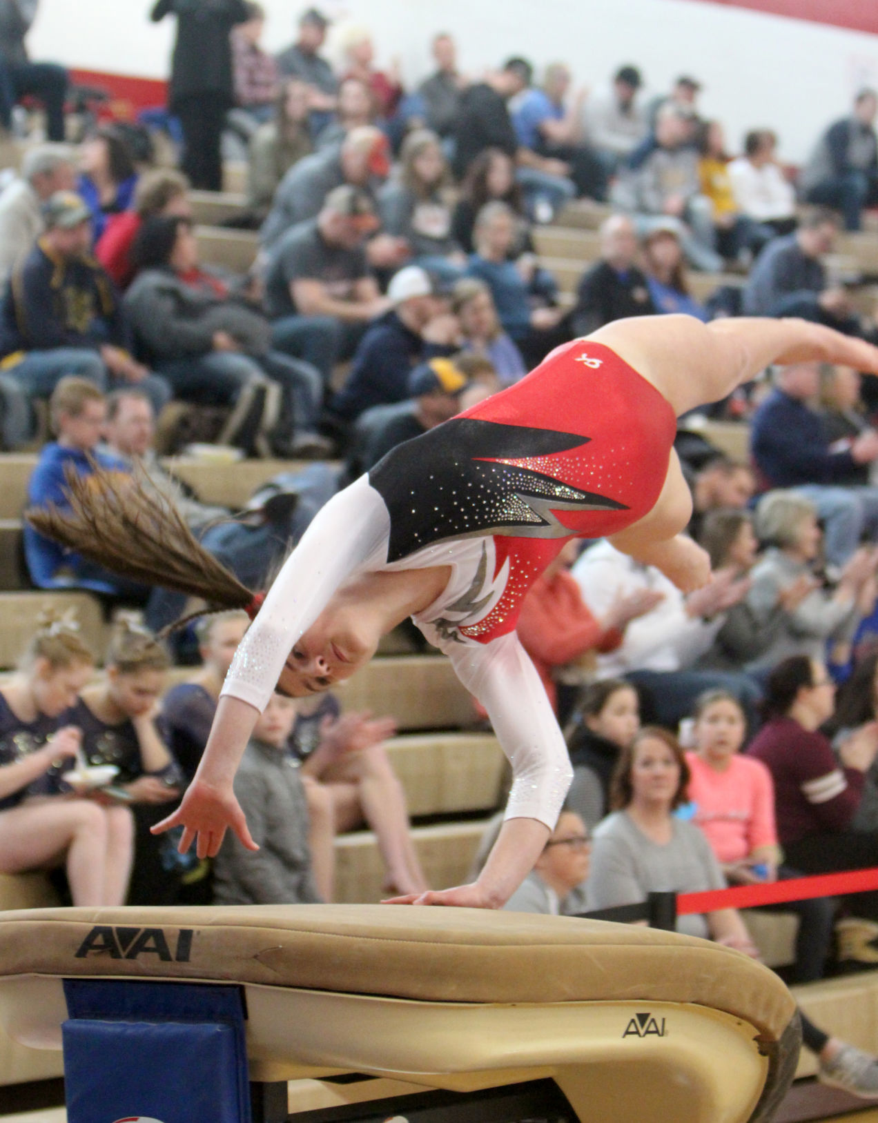 Big Rivers Conference Gymnastics Meet at Chippewa Falls 2-16-19